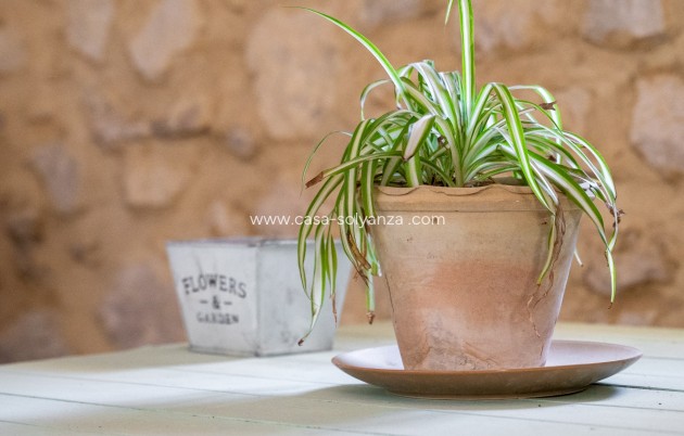 Revente - Other - Castalla - Inland