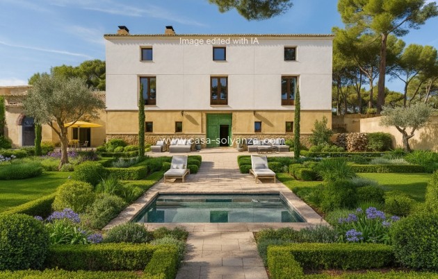 Revente - Other - Castalla - Inland