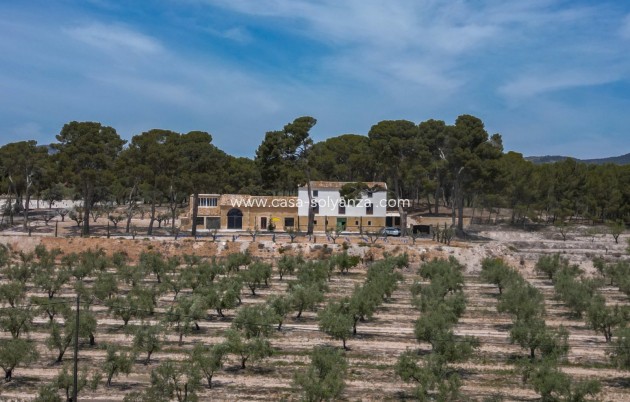 Revente - Other - Castalla - Inland