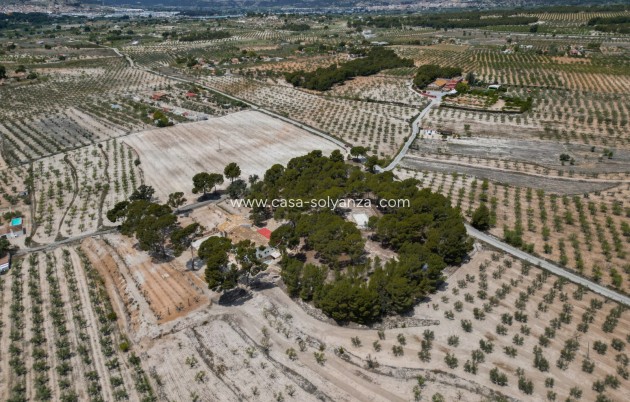 Revente - Other - Castalla - Inland