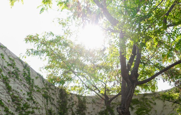 Herverkoop - Villa - San Vicente del Raspeig - Inland