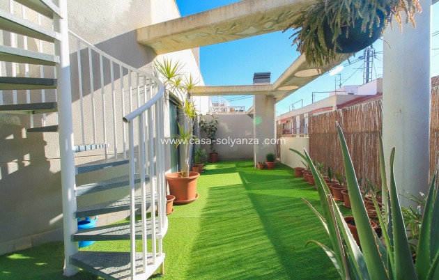 Herverkoop - Appartement / flat - Alicante - Costa Blanca