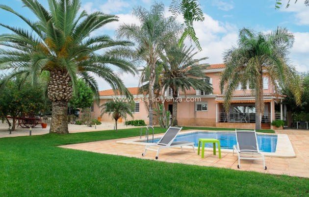 Revente - Villa - San Vicente del Raspeig - Inland