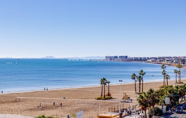 Revente - Bungalow - Torrevieja - Centro - Muelle Pesquero