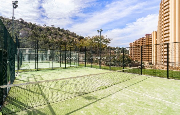 Reventa - Apartamento / piso - Benidorm - Costa Blanca