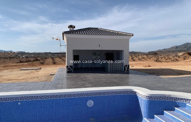 Nouvelle construction - Villa - Pinoso