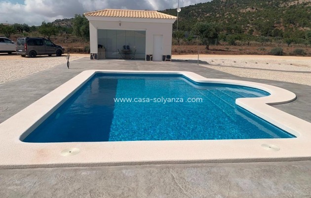 Nouvelle construction - Villa - Pinoso
