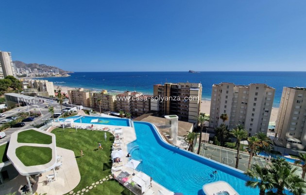 Revente - Appartement - Benidorm - Poniente