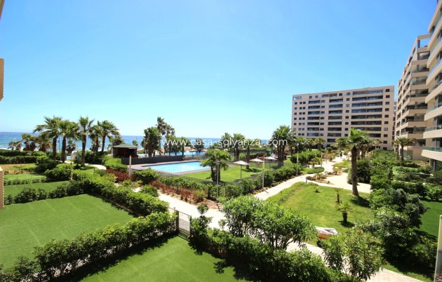 Herverkoop - Appartement / flat - Orihuela Costa - Punta Prima