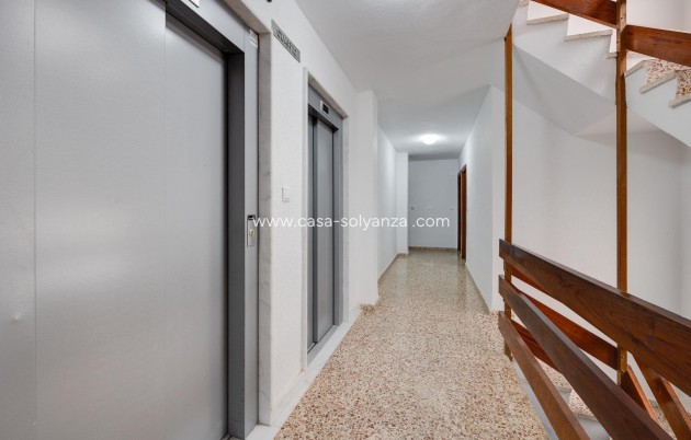 Revente - Appartement - Torrevieja - Playa De Los Naufragos