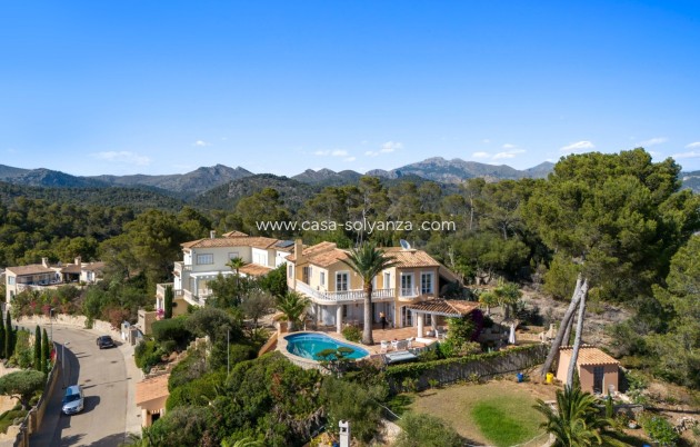 Revente - Villa - Port d'Andratx - Andratx