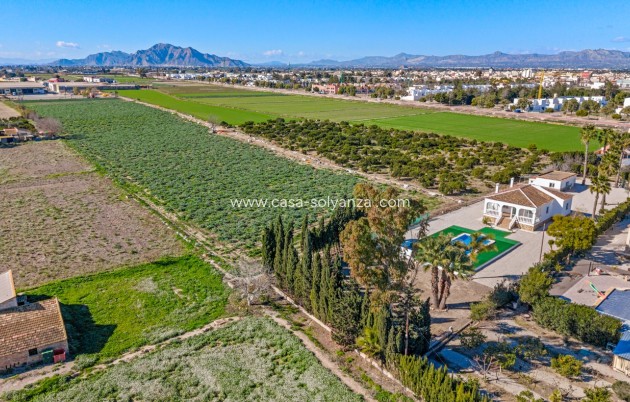 Wiederverkauf - Country Property/Finca - Dolores