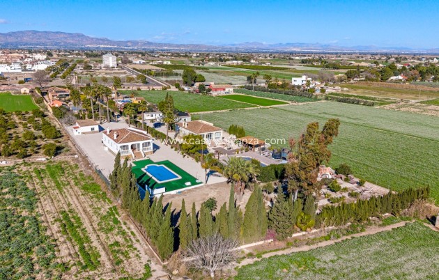 Wiederverkauf - Country Property/Finca - Dolores