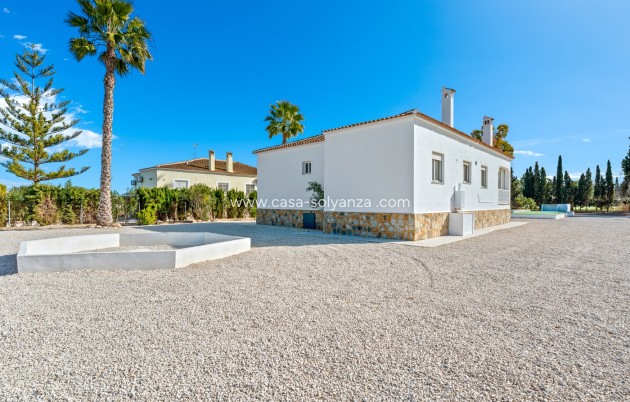 Wiederverkauf - Country Property/Finca - Dolores