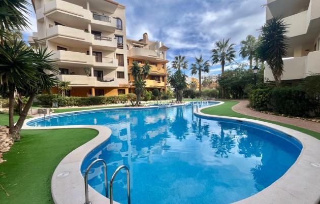 Revente - Bungalow - Torrevieja - Punta Prima