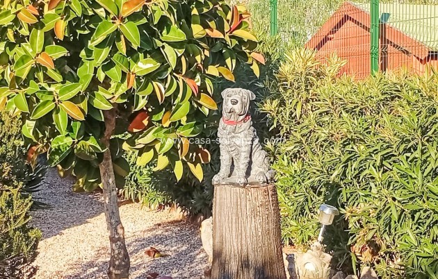 Herverkoop - Villa - Torrevieja - La Siesta