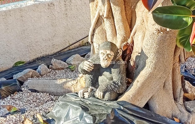 Herverkoop - Villa - Torrevieja - La Siesta