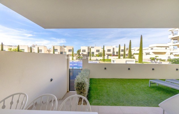 Revente - Appartement - Orihuela - Inland