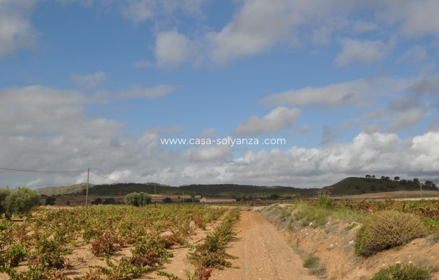 Revente - Garage - Jumilla - Inland