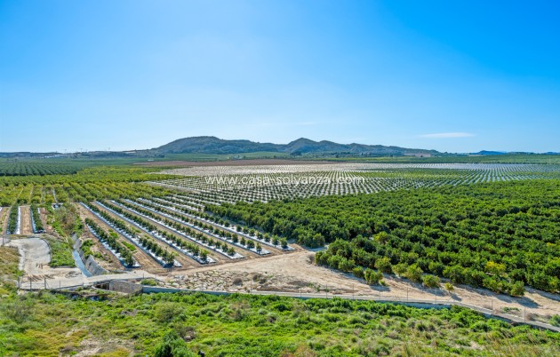 Revente - Appartement - Algorfa - Inland