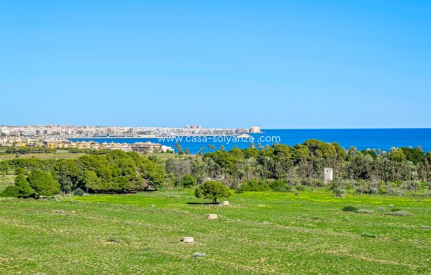 Revente - Appartement - Orihuela Costa - Punta Prima