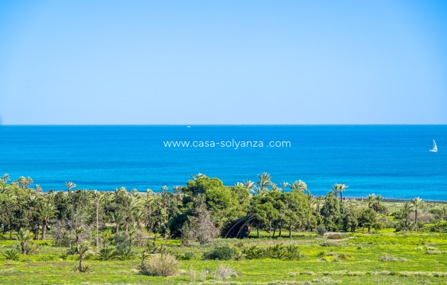 Revente - Appartement - Orihuela Costa - Punta Prima