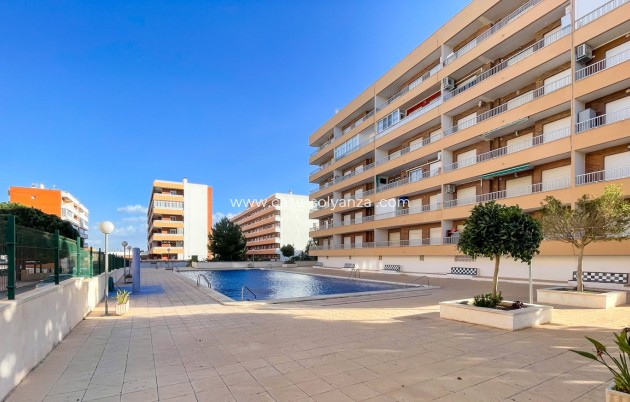 Revente - Appartement - Orihuela Costa - Punta Prima