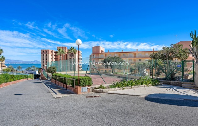 Reventa - Apartamento / piso - Arenales del Sol - Segunda linea playa