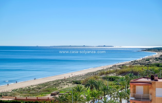 Reventa - Apartamento / piso - Arenales del Sol - Segunda linea playa