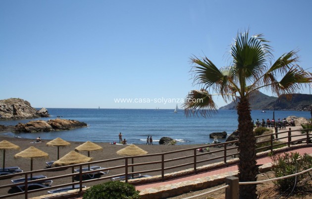 Obra nueva - Adosado - La Union - centro