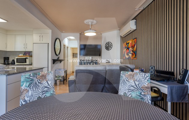 Reventa - Villa - Guardamar del Segura - El Raso