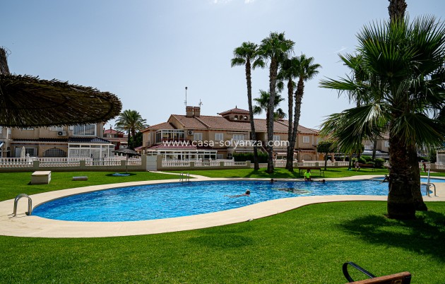 Reventa - Apartamento / piso - Playa Flamenca - Zenia Mar