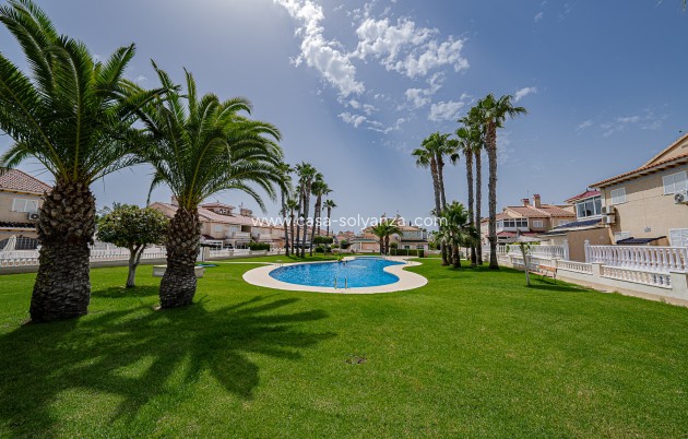 Reventa - Apartamento / piso - Playa Flamenca - Zenia Mar