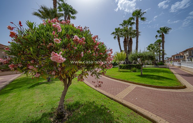 Reventa - Apartamento / piso - Playa Flamenca - Zenia Mar