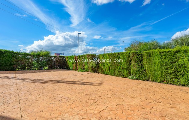 Wiederverkauf - Wohnung - Torrevieja