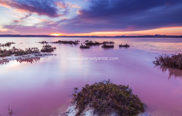 Reventa - - - Torrevieja - La Mata