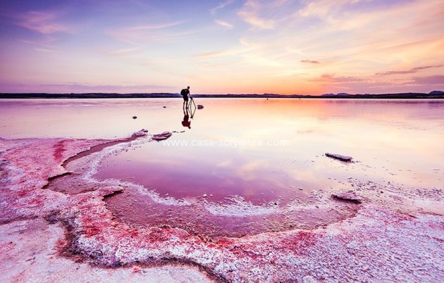 Reventa - Apartamento / piso - Villamartin - Costa Blanca