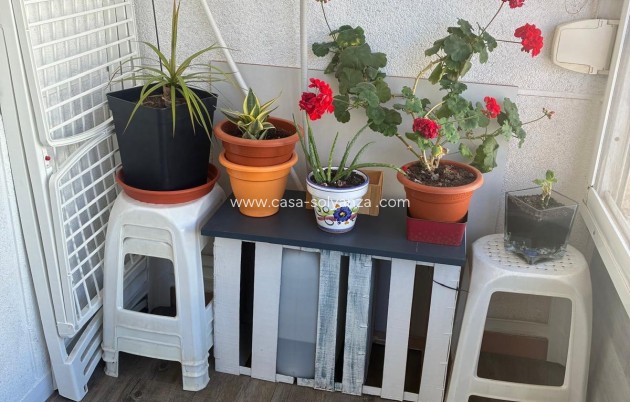 Reventa - Apartamento / piso - Torrevieja - Center