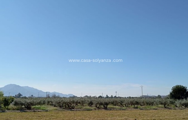 Reventa - Adosado - Catral - Costa Blanca