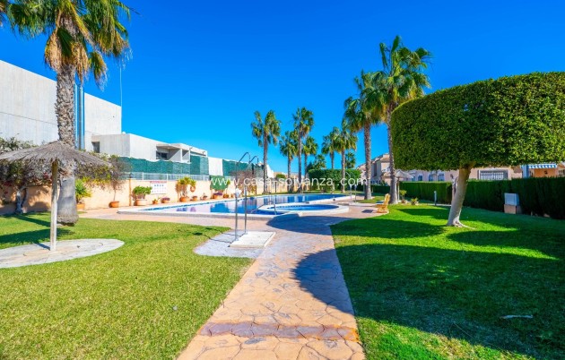 Reventa - Apartamento / piso - Orihuela Costa - La Regia