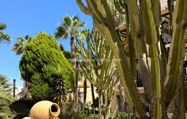 Reventa - Apartamento / piso - Torrevieja - Los Frutales