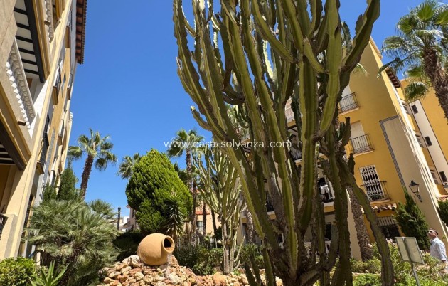 Reventa - Apartamento / piso - Torrevieja - Los Frutales