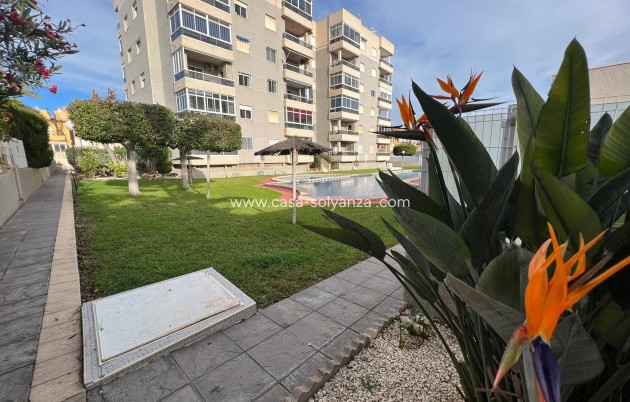 Reventa - Apartamento / piso - Torrevieja - Aguas nuevas