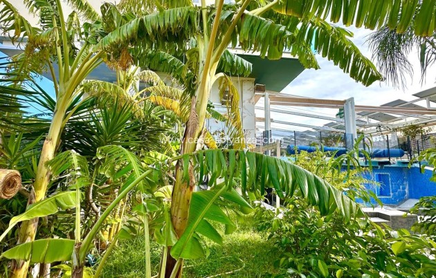 Wiederverkauf - Wohnung - Finestrat