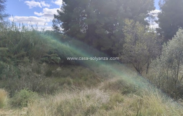 Wiederverkauf - Land - Moratalla