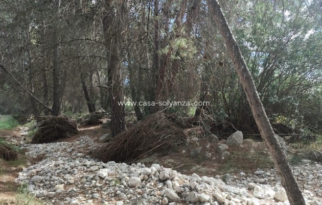 Wiederverkauf - Land - Moratalla