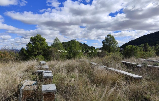 Wiederverkauf - Land - Moratalla
