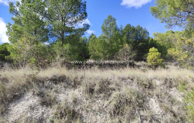 Wiederverkauf - Land - Moratalla