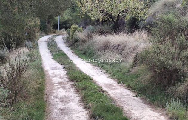 Wiederverkauf - Land - Moratalla