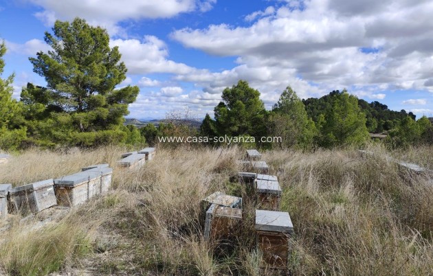 Wiederverkauf - Land - Moratalla